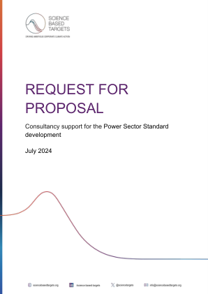 RFP-电力项目.pdf